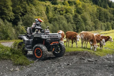 GOES TERROX 1000 LIMITED